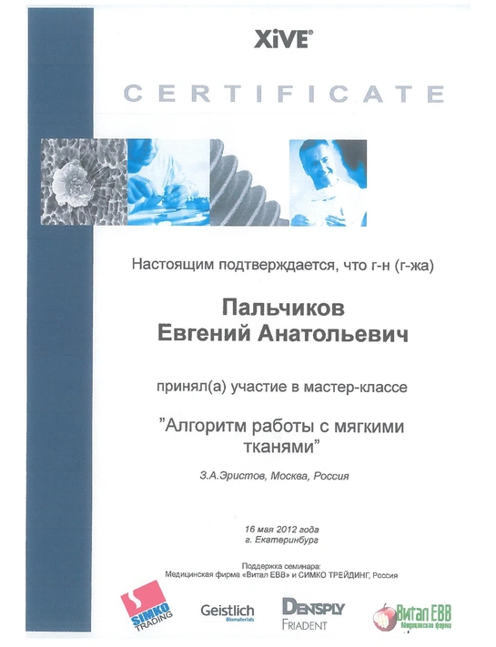 Сертификат мастер-класса «Алгоритм работы с мягкими тканями» (2012, г. Екатеринбург)