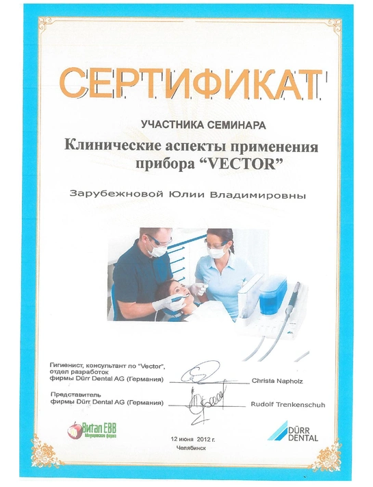 Сертификат семинара «Клинические аспекты применения прибора Vector» (2012, г. Челябинск)