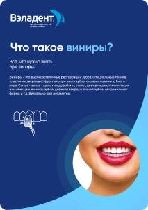 Гайд по винирам
